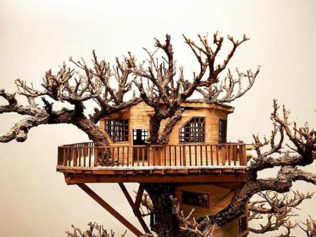 Tiny Bonsai Treehouses By Dave Creek (29 pics)