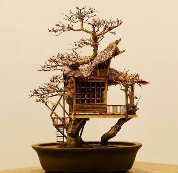 Tiny Bonsai Treehouses By Dave Creek (29 pics)