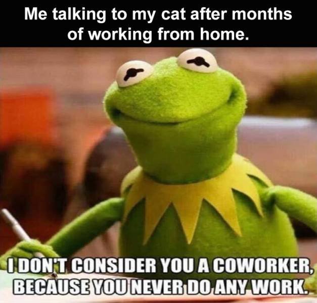 Random Funny Memes (71 pics)