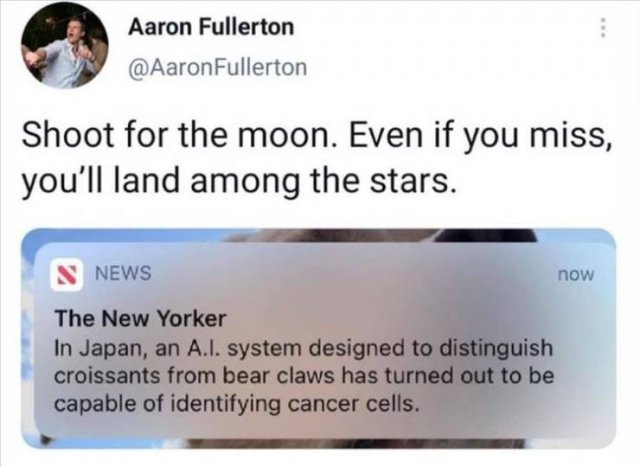 Random Funny Memes (71 pics)