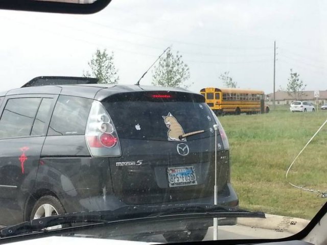 Acid Picdump 2 (80 pics)