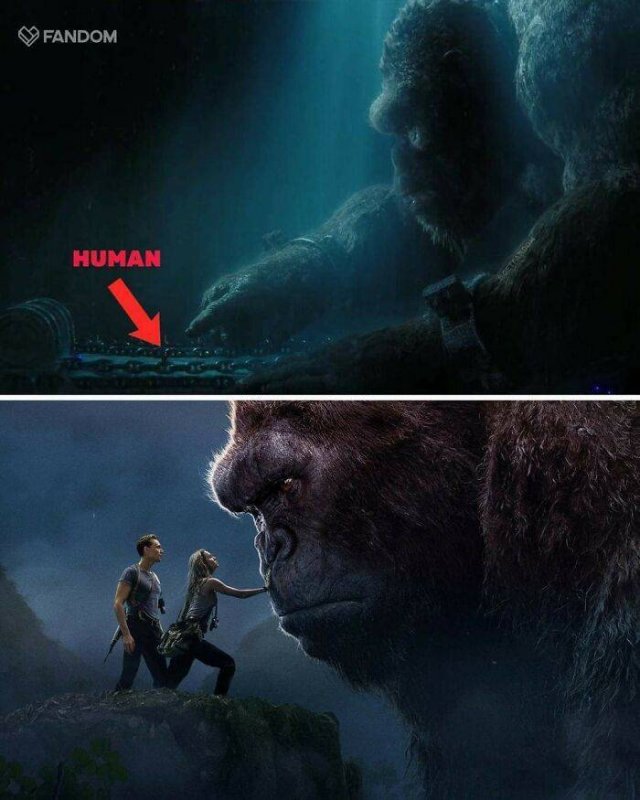 Hidden Movie Details (28 pics)