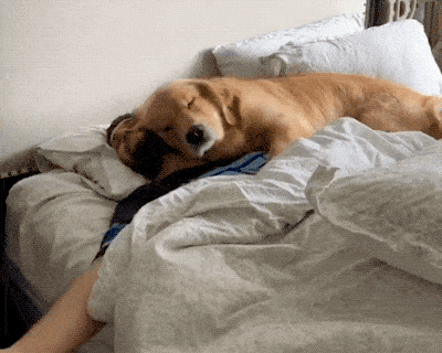 Acid Gifdump, March 24 (25 gifs)