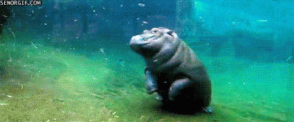 Acid Gifdump, March 24 (25 gifs)