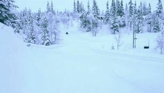 Acid Gifdump, March 24 (25 gifs)
