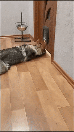 Acid Gifdump, March 24 (25 gifs)