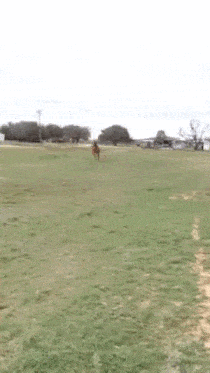 Acid Gifdump, March 24 (25 gifs)