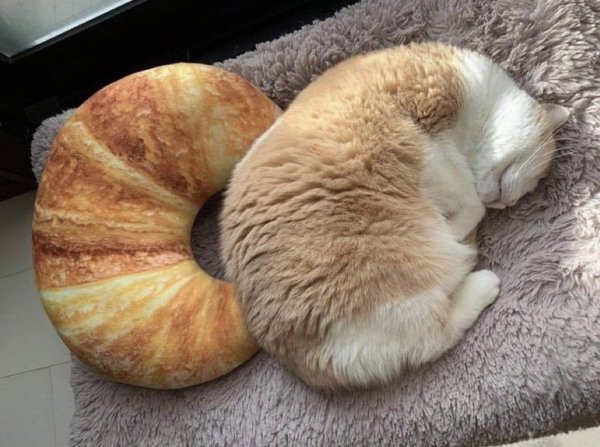 Things That Imitate Art (28 pics)