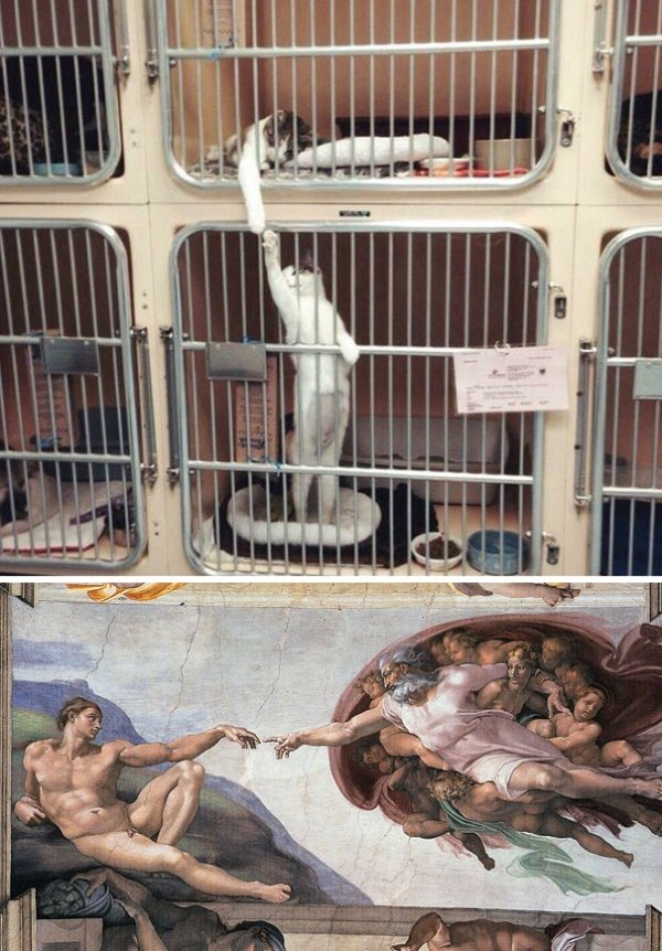 Things That Imitate Art (28 pics)