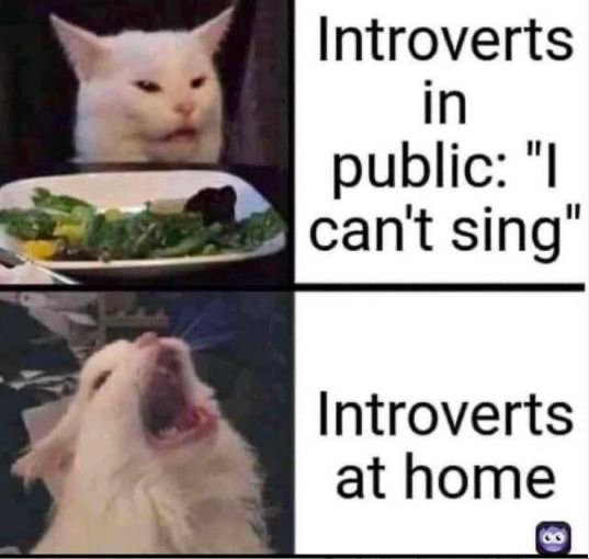 Introvert Memes And Tweets (24 pics)