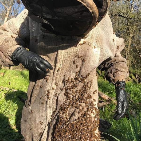Texas Bee Queen (22 pics)