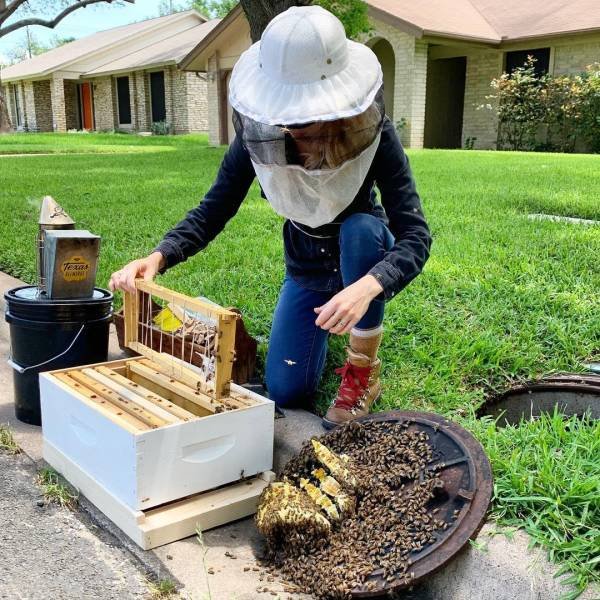 Texas Bee Queen (22 pics)