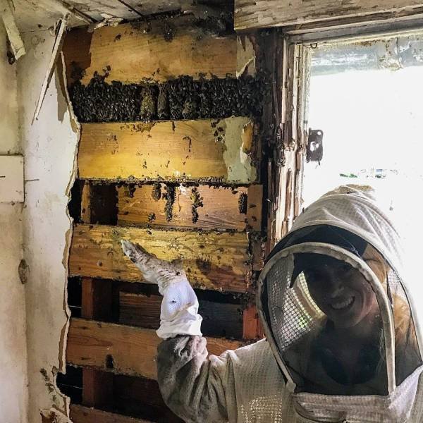 Texas Bee Queen (22 pics)