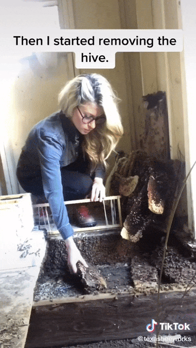 Texas Bee Queen (22 pics)