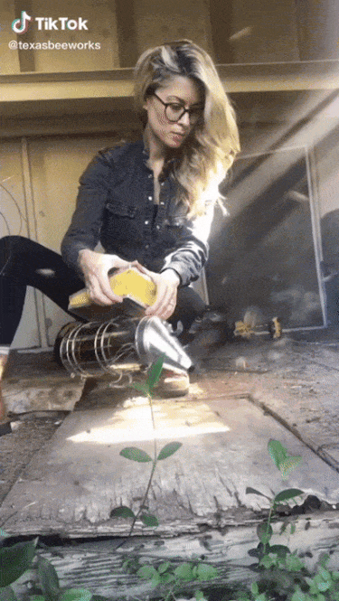 Texas Bee Queen (22 pics)