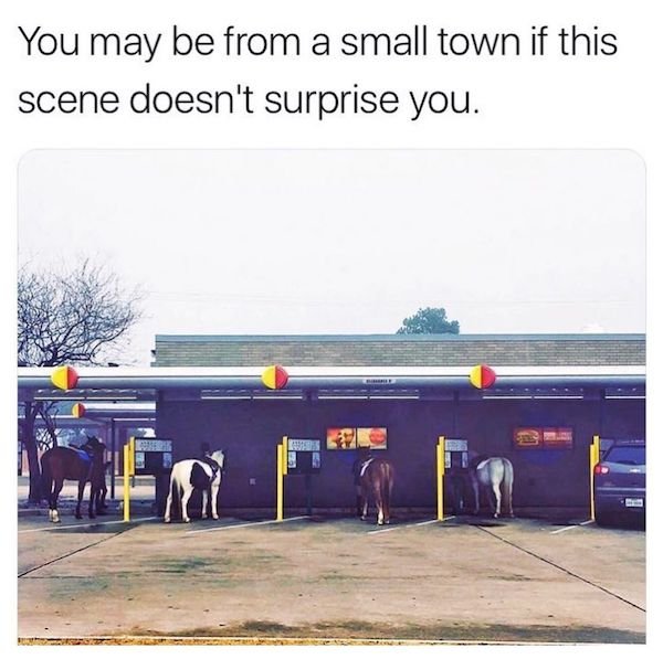 Country Memes (37 pics)
