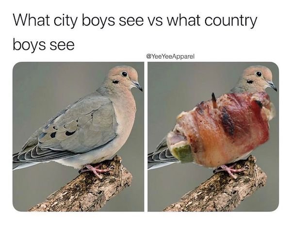 Country Memes (37 pics)