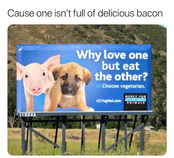 Country Memes (37 pics)