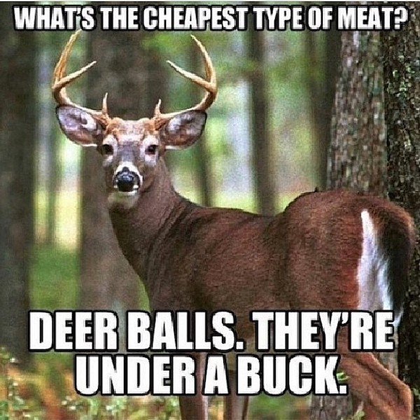 Country Memes (37 pics)