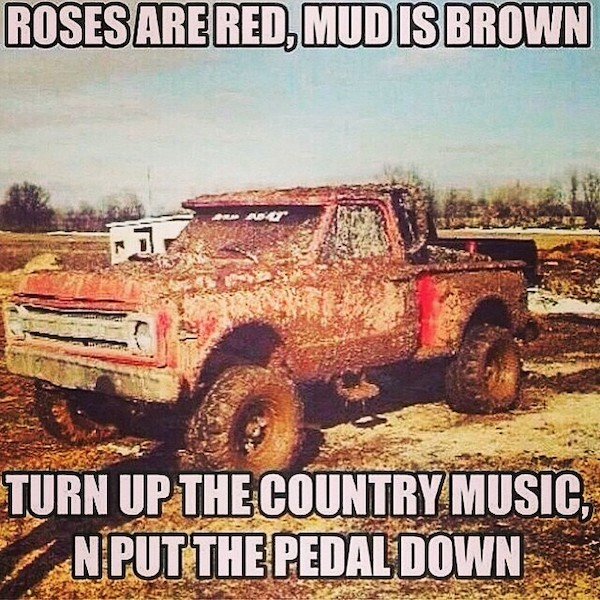 Country Memes (37 pics)