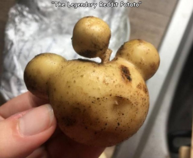 Acid Picdump 2 (80 pics)