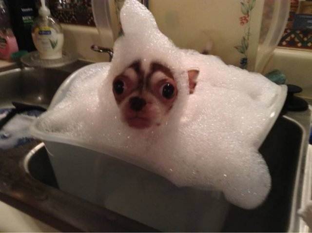 Acid Picdump 2 (80 pics)