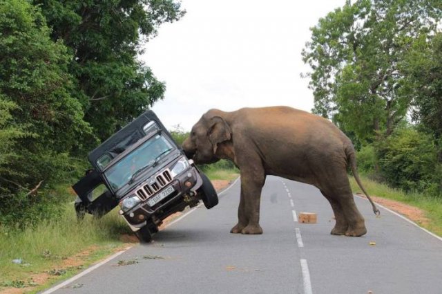 Acid Picdump 2 (80 pics)
