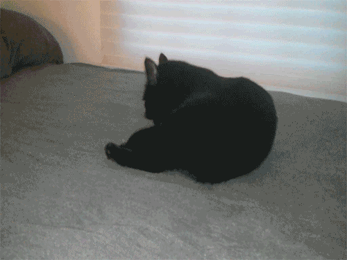 Acid Gifdump, March 25 (25 gifs)