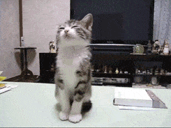 Acid Gifdump, March 25 (25 gifs)