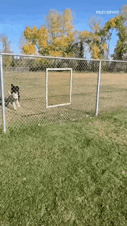 Acid Gifdump, March 25 (25 gifs)