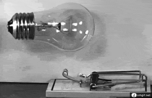 Acid Gifdump, March 26 (25 gifs)