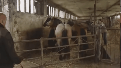 Acid Gifdump, March 26 (25 gifs)