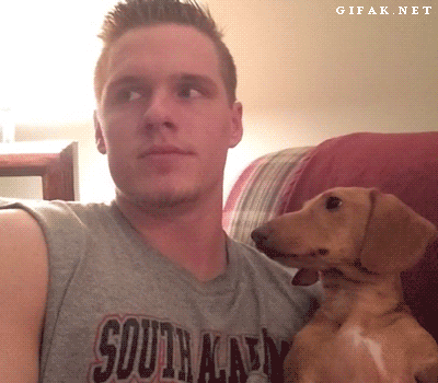 Acid Gifdump, March 26 (25 gifs)