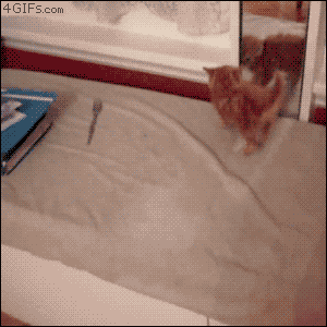 Acid Gifdump, March 26 (25 gifs)