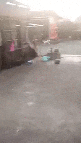 Acid Gifdump, March 26 (25 gifs)