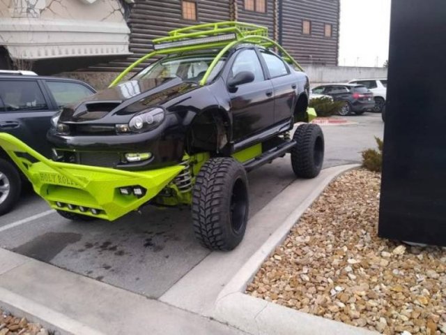 OMG Pictures (37 pics)