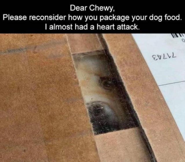 OMG Pictures (37 pics)