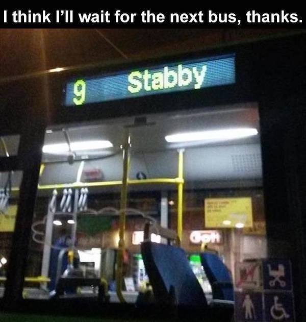 OMG Pictures (37 pics)