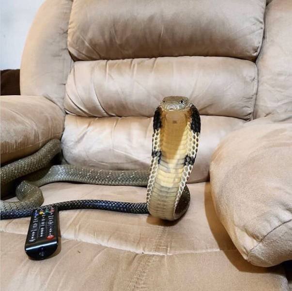 OMG Pictures (37 pics)