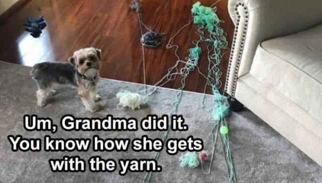 Random Funny Memes (71 pics)