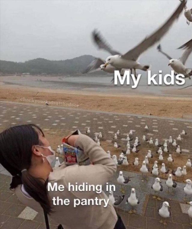 Random Funny Memes (71 pics)