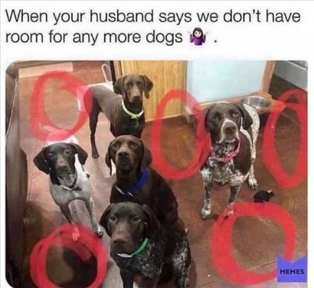 Random Funny Memes (71 pics)