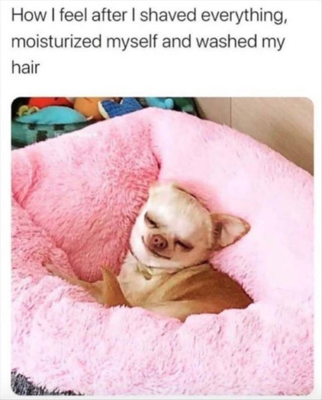 Random Funny Memes (71 pics)