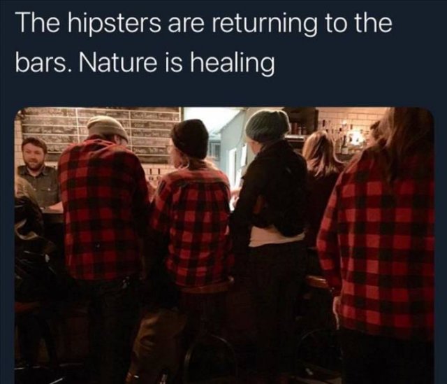 Random Funny Memes (71 pics)