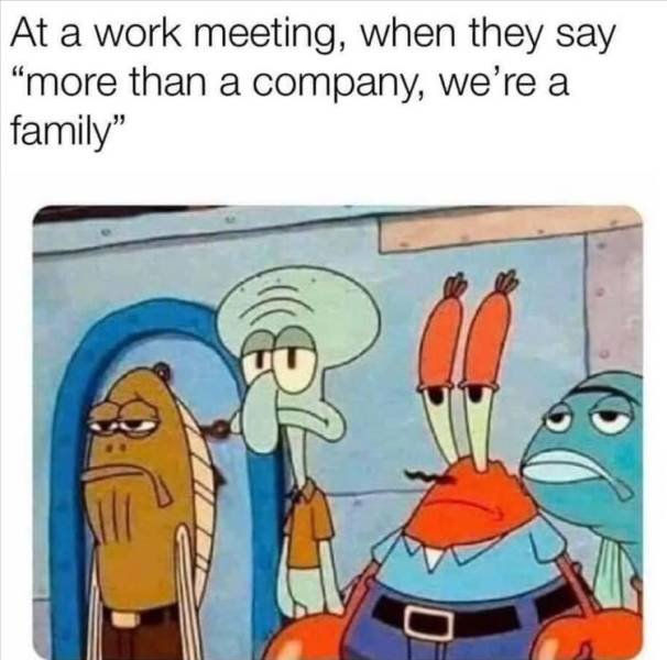 Random Funny Memes (71 pics)