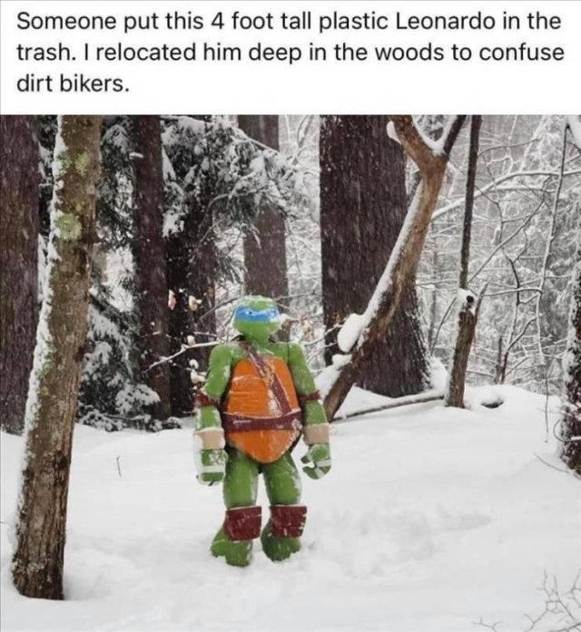 Random Funny Memes (71 pics)