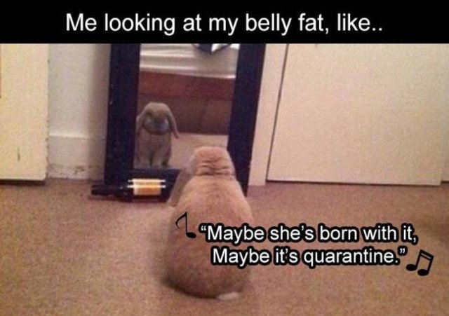 Random Funny Memes (71 pics)
