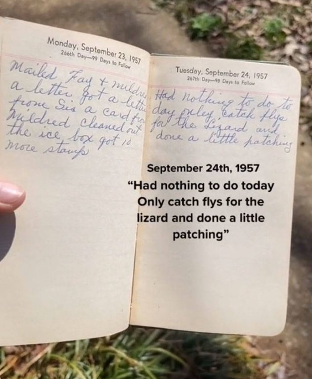 Thrift Shop Find: 1957 Housewife Diary (11 pics)