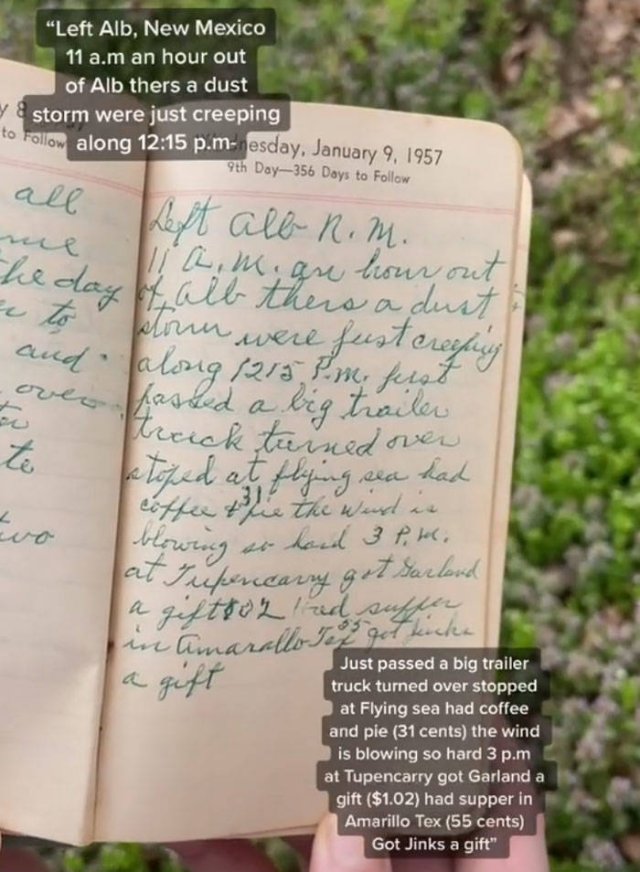 Thrift Shop Find: 1957 Housewife Diary (11 pics)