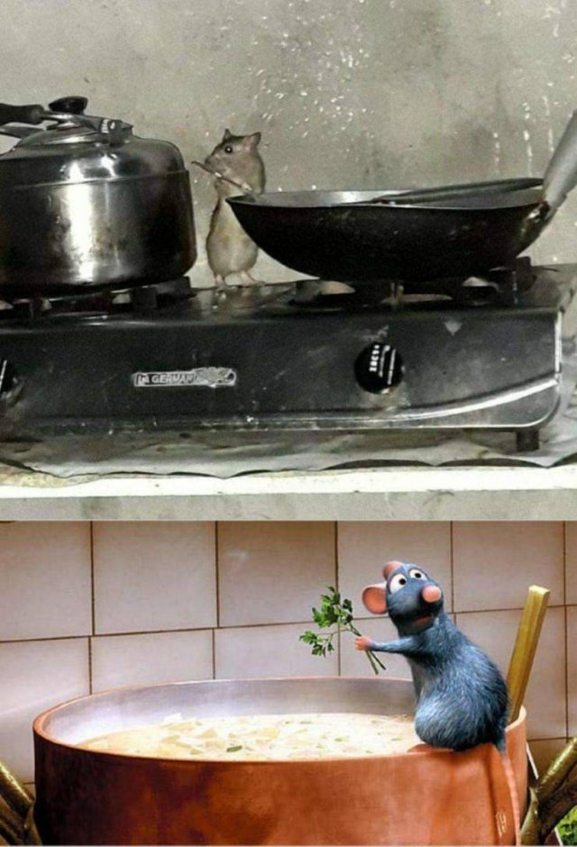 Acid Picdump 1 (89 pics)